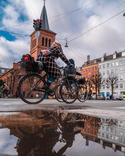 Cycle in Copenhagen